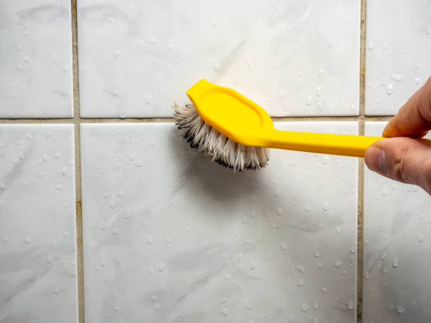 Best Local Mold Removal Service  in Gardner, IL