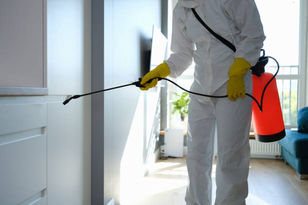 Best Residential Mold Removal  in Gardner, IL